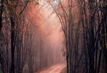 [中超]一场进球大战 上海海港击败青岛西海岸.