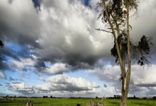 42岁张志磊回应落败：遗憾，十几年来没有一天不和自己玩命九派新闻.