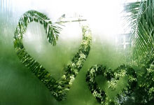 42岁张志磊回应落败：遗憾，十几年来没有一天不和自己玩命九派新闻.