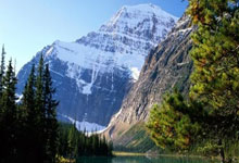 DO：切尔西将评估佩特洛维奇和桑切斯能否当一门，可能会签新门将.